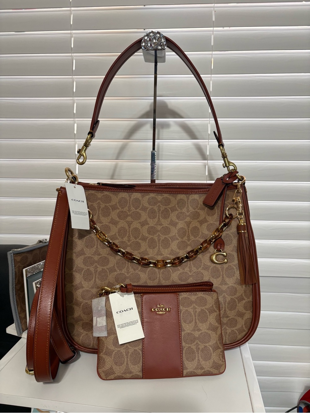 NWT Coach Cary Bag Set